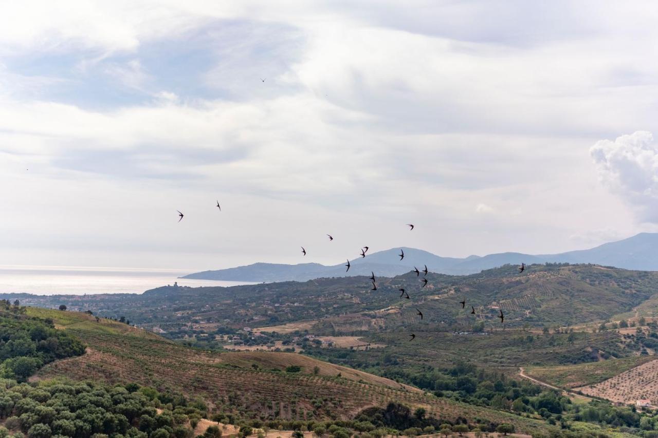 Corte degli Ulivi Terradura Esterno foto