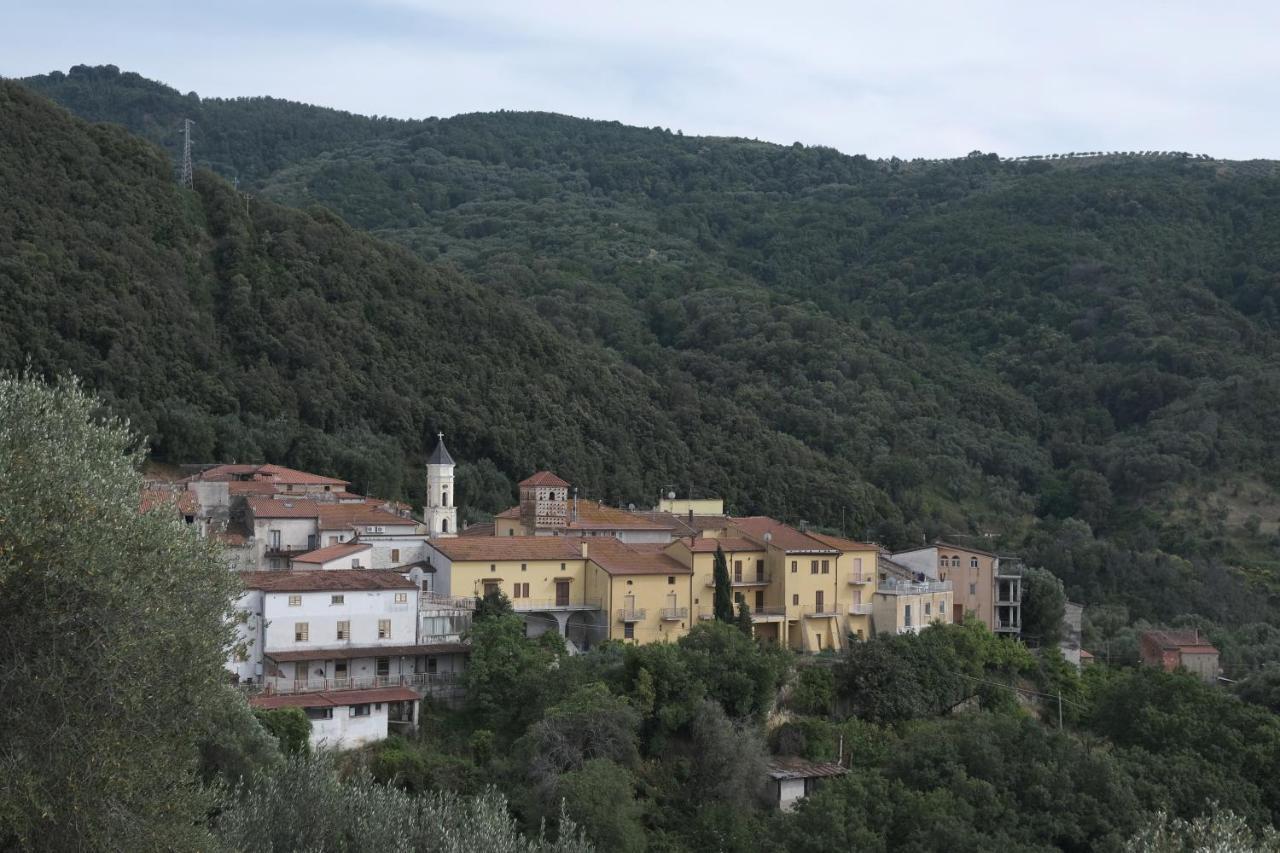 Corte degli Ulivi Terradura Esterno foto