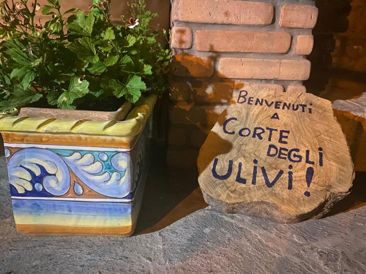 Corte degli Ulivi Terradura Esterno foto